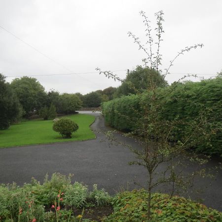 Abbey View Bed & Breakfast Galway Exterior foto