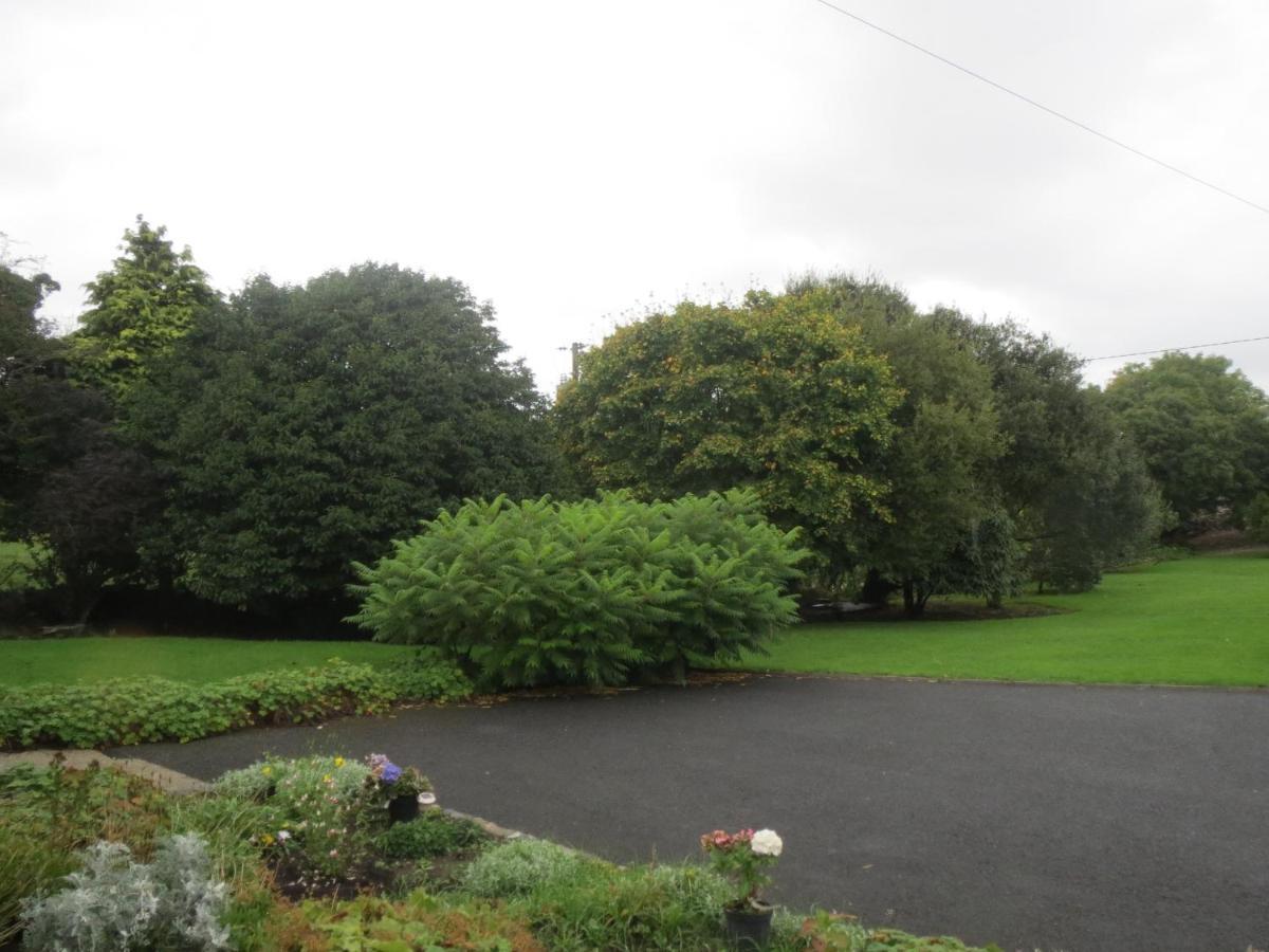 Abbey View Bed & Breakfast Galway Exterior foto